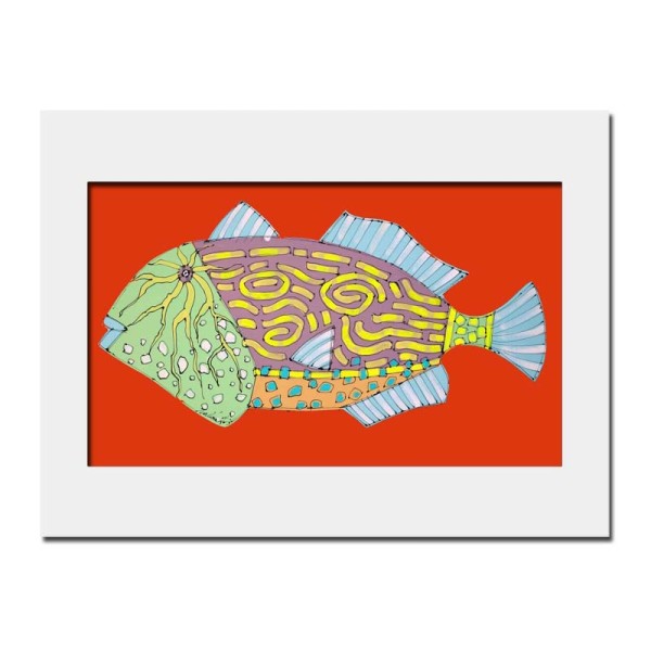 Triggerfish in Orange